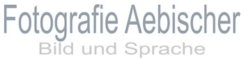 Fotografie Aebischer GmbH  